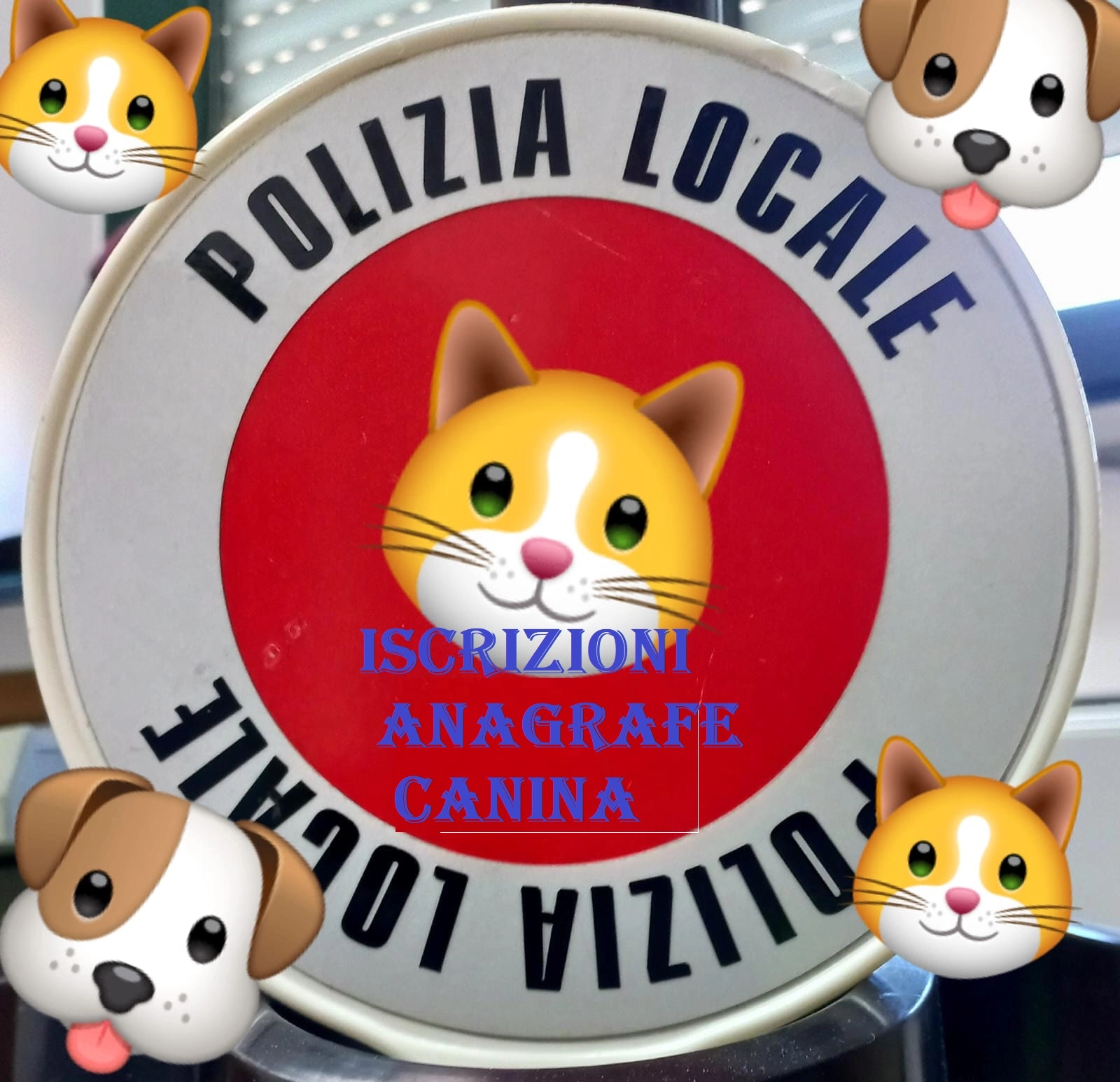 Iscrizione cani anagrafe canina mese settembre 2023 Iscrizione cani anagrafe canina mese settembre 2023