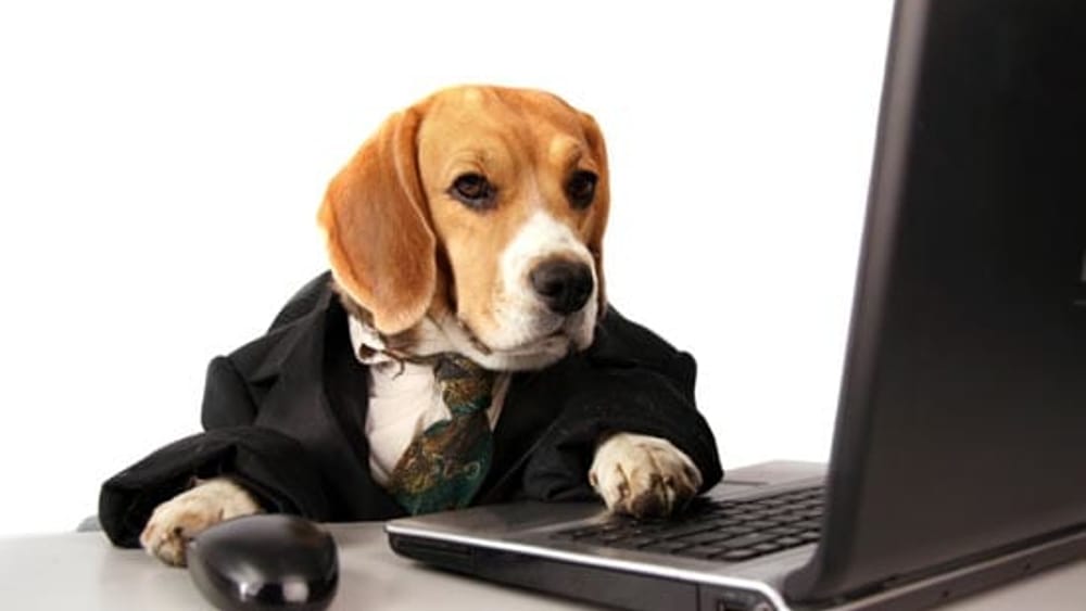 PRENOTAZIONI ANAGRAFE CANINA ANNO 2023